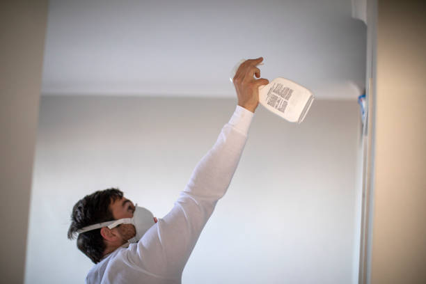 Best Certified Mold Removal  in Omao, HI