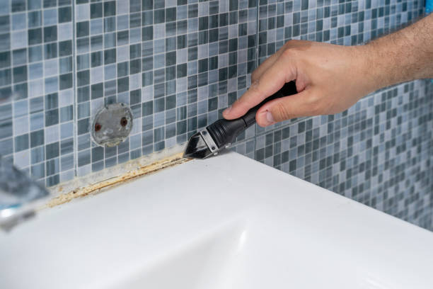 Best Crawl Space Mold Removal  in Omao, HI