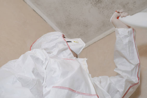 Home Mold Removal in Omao, HI